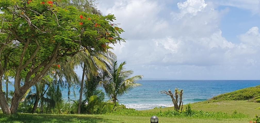 Martial Tropiques Et Martial Coco & Plage, 2 Appartements Refaits A Neuf Vue Mer, Village De Vacances A Ste Anne Sainte-Anne  Exterior foto